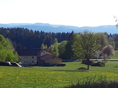 Blick Haus